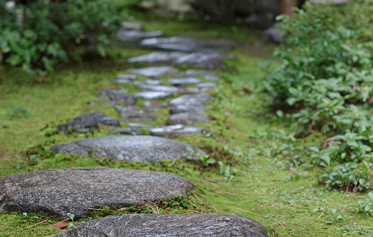 In keeping with the style of the garden, there are well-placed stones and green moss.