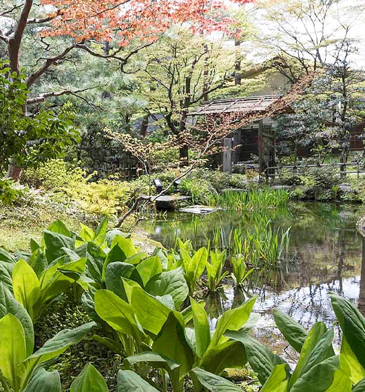 金沢最古のお茶室と幻の庭園の歴史｜石川県金沢市｜西田家庭園玉泉園
